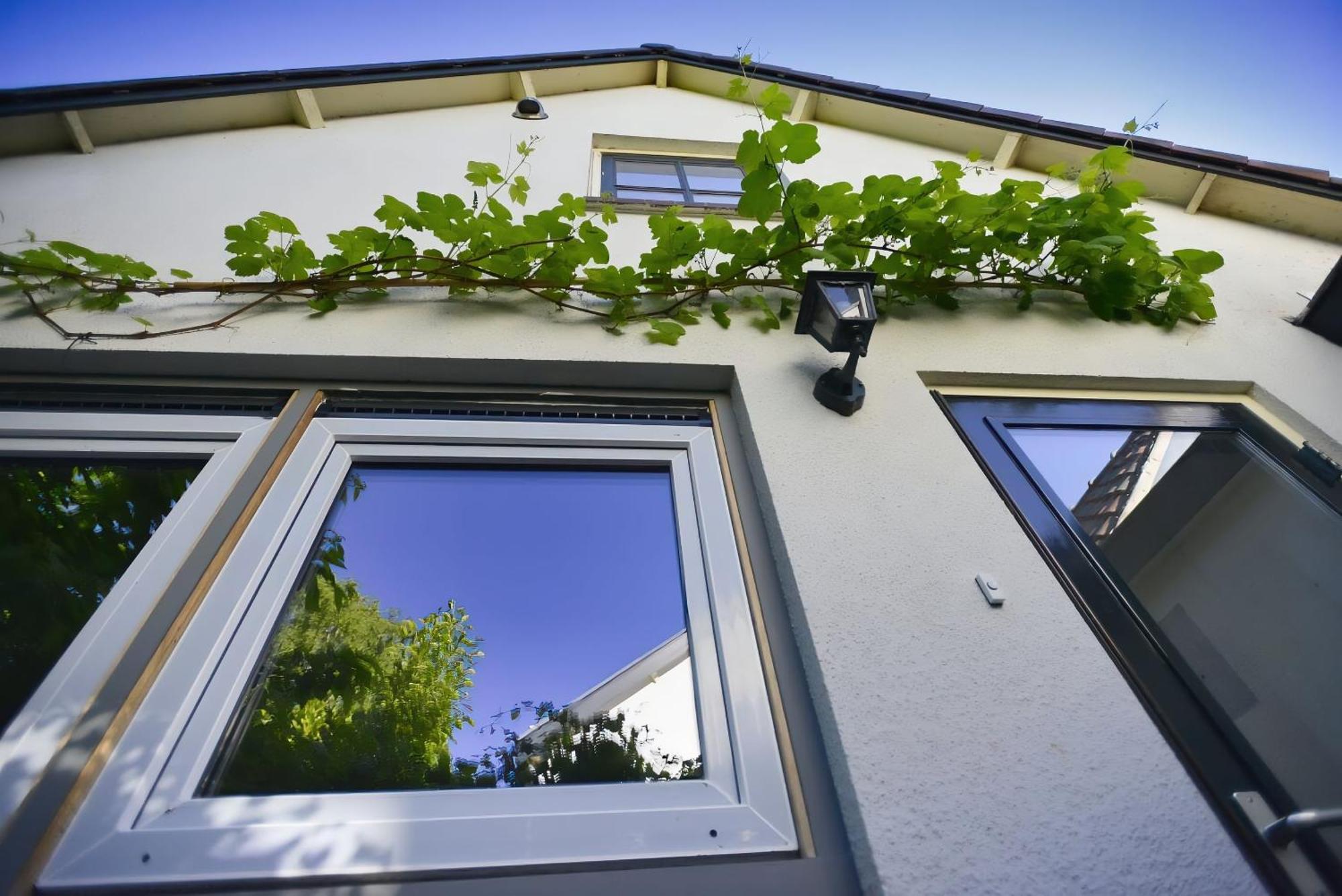Bed and Breakfast Logies Op Dreef Driebergen Zewnętrze zdjęcie