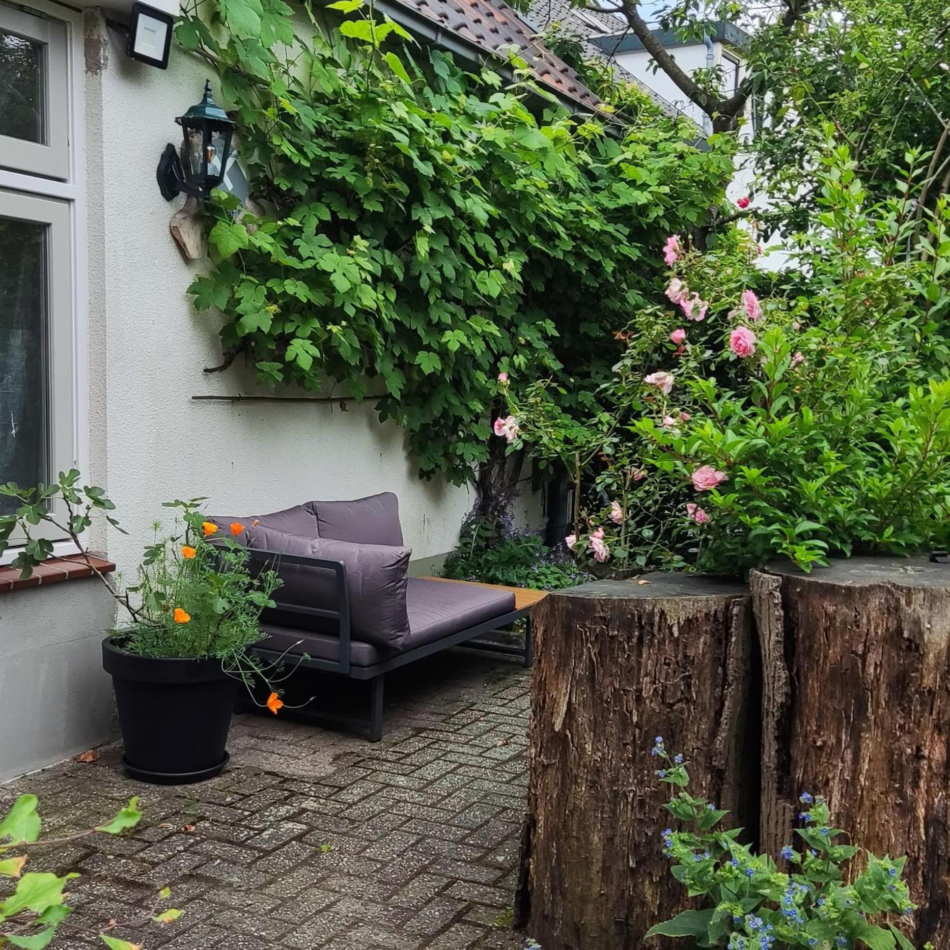 Bed and Breakfast Logies Op Dreef Driebergen Zewnętrze zdjęcie